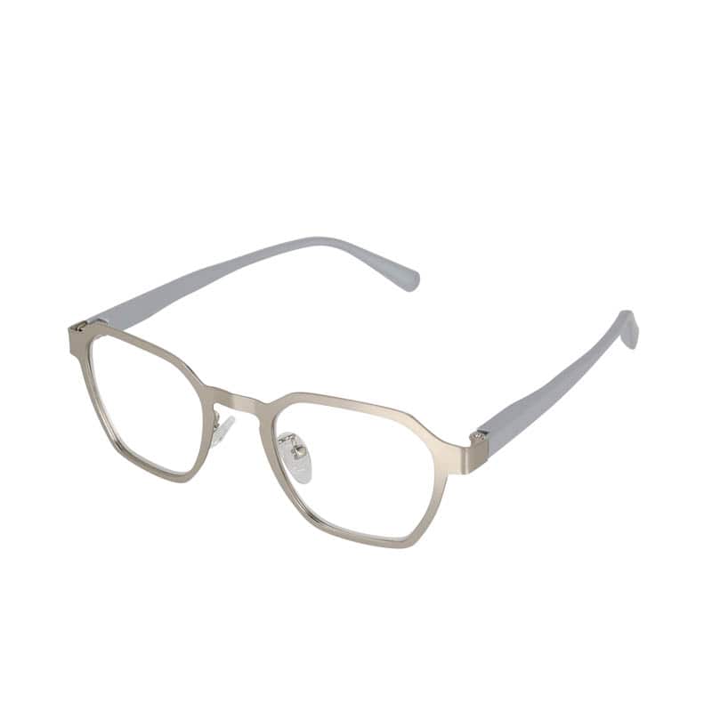 READING GLASSES SILVER/LIGHT GRAY 1.0