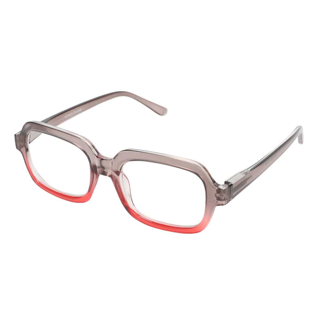 READING GLASSES GRAY/RED 1.0
