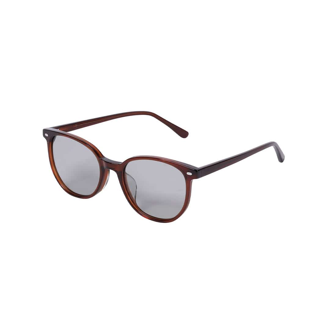 GLASS WITH COLOR LENS BROWN/GRAY
