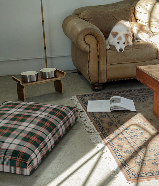 CHECK DOG BED 1