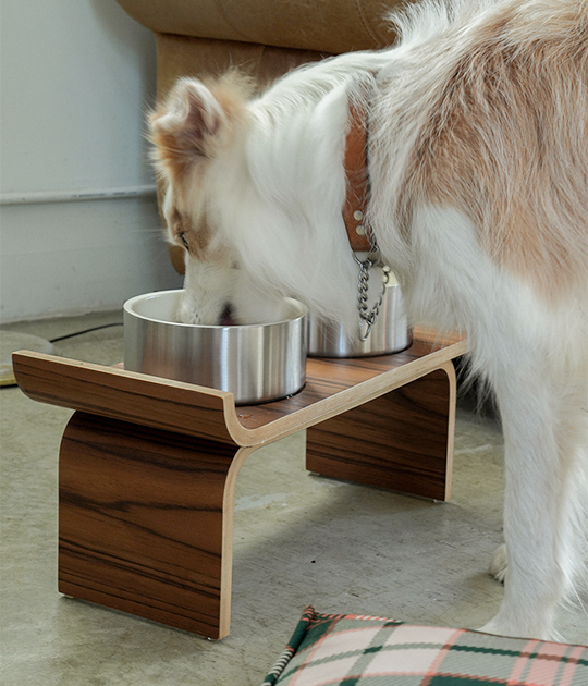 dog bowl STAND 1