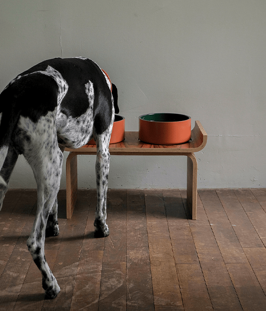 Double wall dog bowl 1