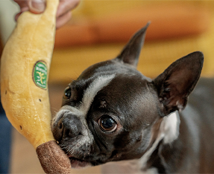 PLUSH TOY 2