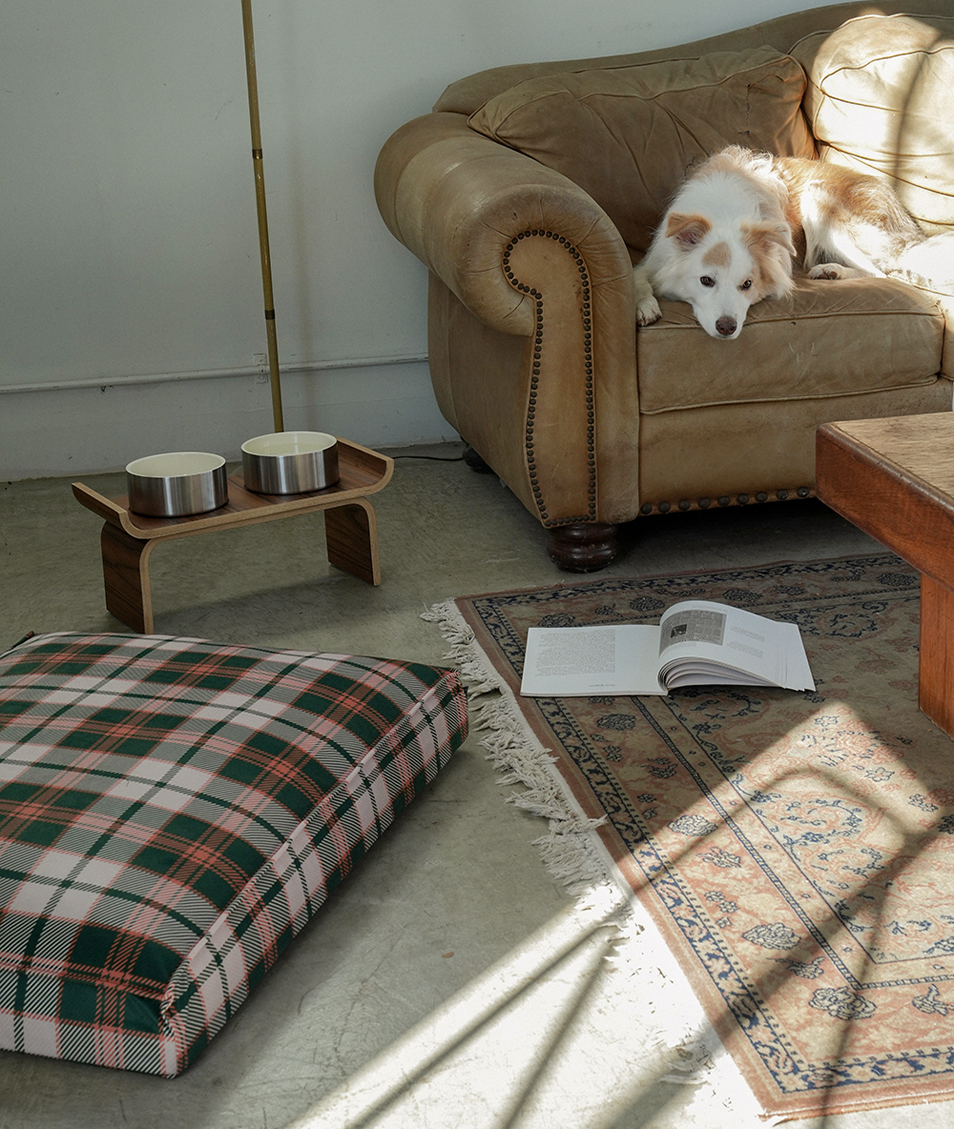 CHECK DOG BED 1