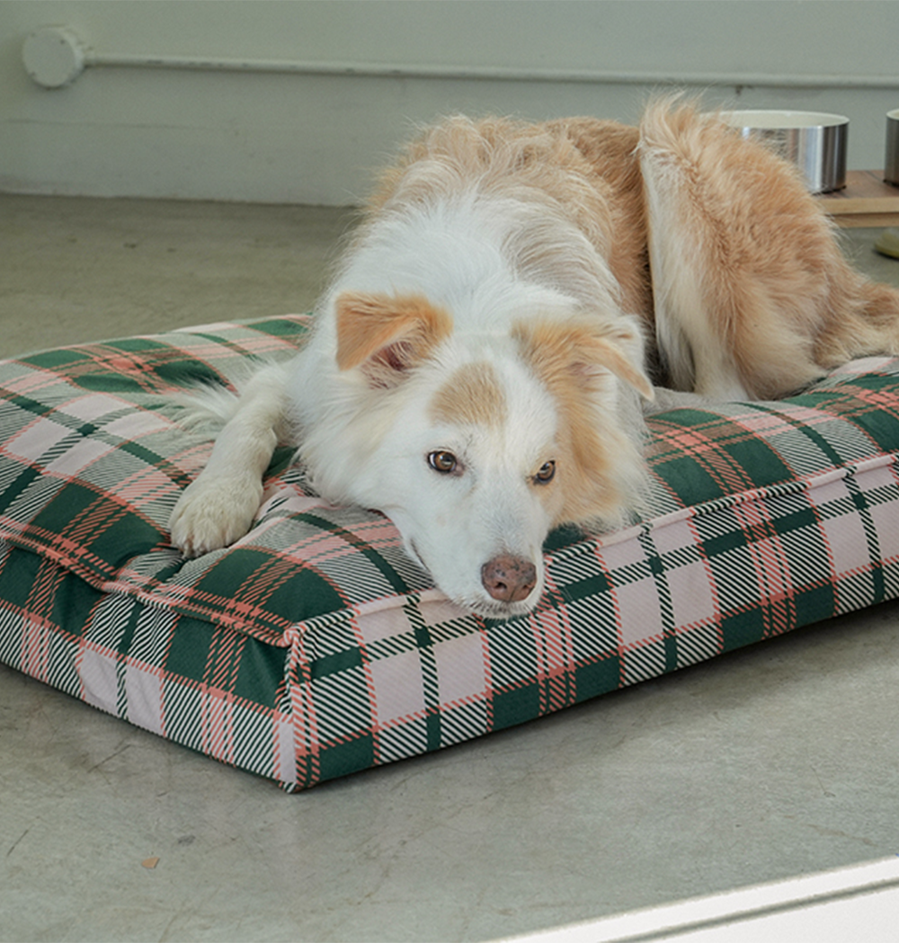 CHECK DOG BED MV