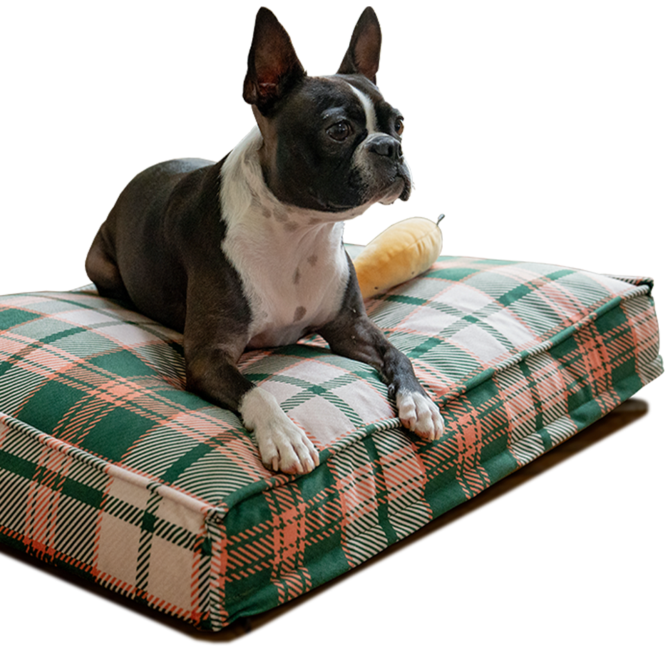 CHECK DOG BED product_1
