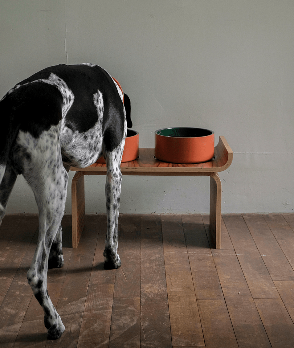 Double wall dog bowl 1
