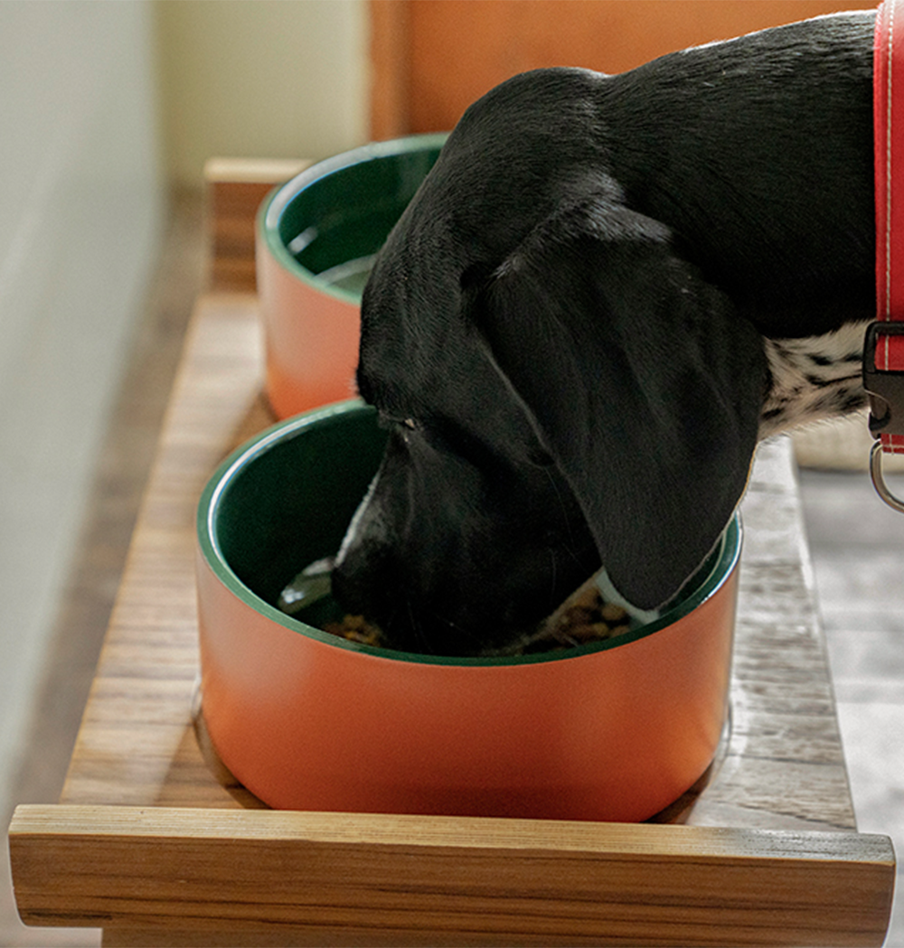 Double wall dog bowl MV