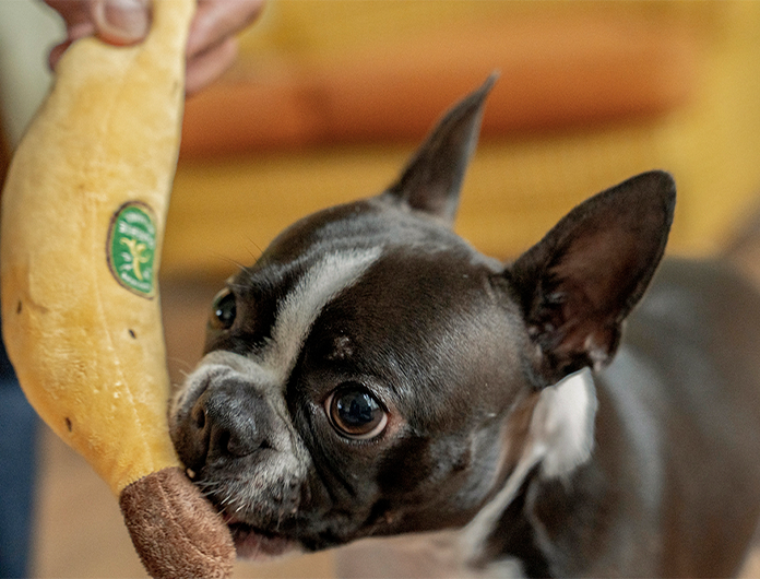 PLUSH TOY 2