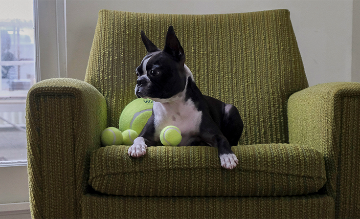 TENNIS BALL 5
