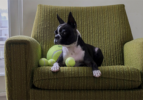 TENNIS BALL 5