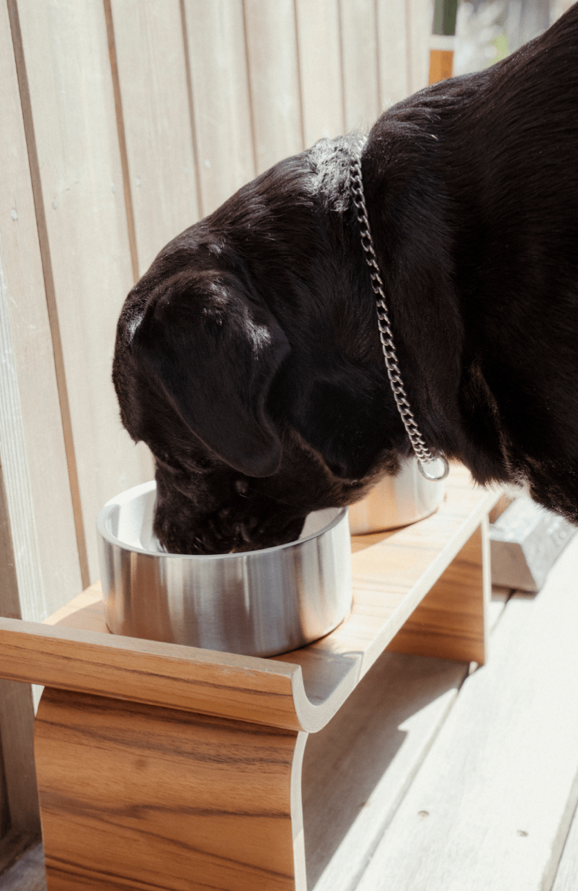 DOG BOWL STAND